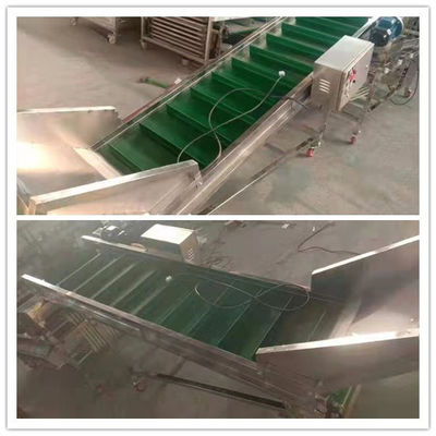 Mushroom grading machine, mushroom sorting machine, mushroom grader sorter