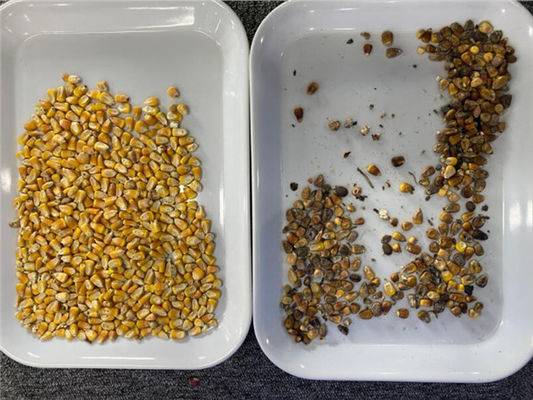 corn maize color sorter, rice color sorter, soybean color sorter, peanut color sorter