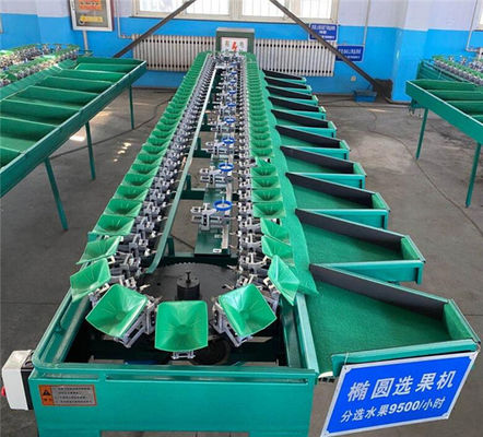 cucumber grading machine, mango sorting machine, apple orange grading machine