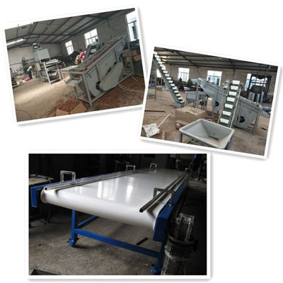 walnut processing machines, walnut cracker, walnut shelling machine