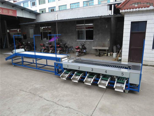 dates cleaning drying sorting machine, dates washing drying grading machine