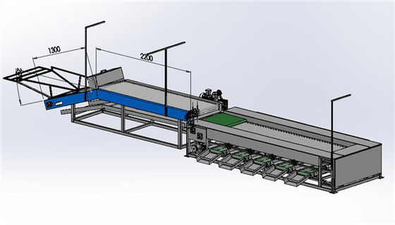 cherry tomato sorting machine, cherry tomato grading machine, tomato grader