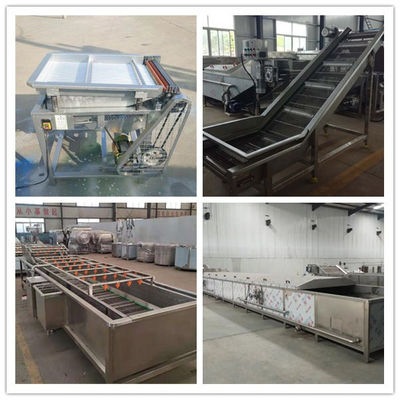 frozen peas processing machine, quick-freezing peas making machines