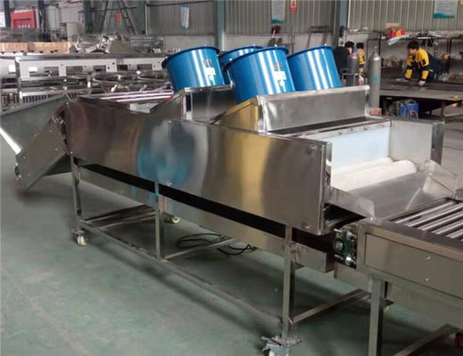 apple orange lemon cleaning drying machine, potato washing drying machine