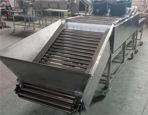 apple orange lemon cleaning drying machine, potato washing drying machine