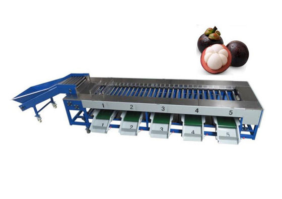 Mangosteen grading machine , mangosteen sorting machine, mangosteen sorter grader