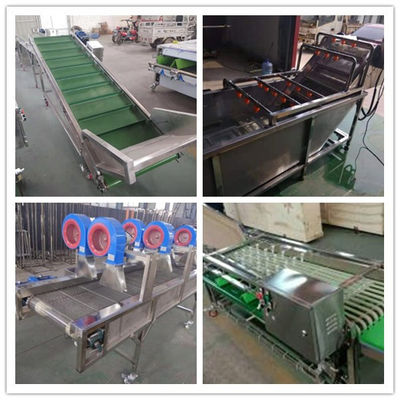 cherry washing drying grading machine, cherry sorting machine, cherry grader sorter