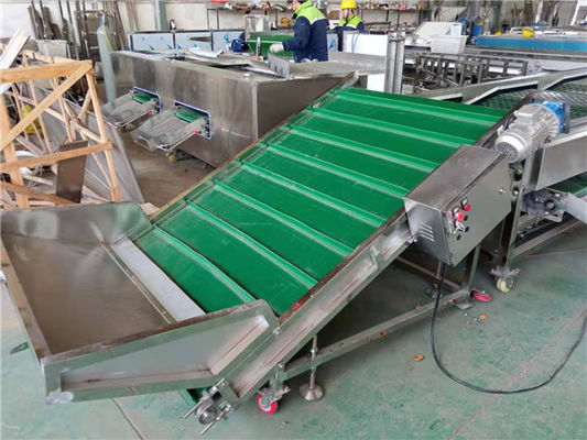 walnut sorting machine, walnut grading machine, walnut grader, walnut sorter